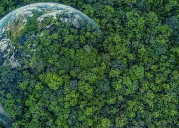 The True Value of Quick Consumerism — And How We Can Change It