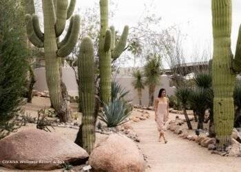 7 Simple-to-Attain Wellness Resort and Spas within the U.S.