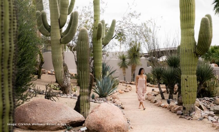 7 Simple-to-Attain Wellness Resort and Spas within the U.S.