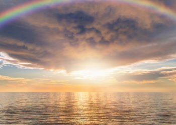 Navigating Duality with Ocean Robbins – Be Right here Now Community 2025