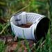 How one can Use Health Trackers with out Shedding Contact with Your self
