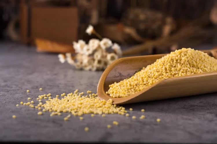 Rediscovering Millet: Unlocking the Historic Grain for a More healthy You