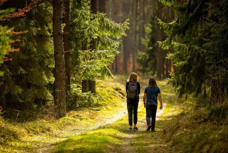 The Nature Treatment: Discover Freedom from Tech Overload