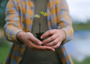 Out with the Outdated: Letting Go of Poisonous Habits This Spring