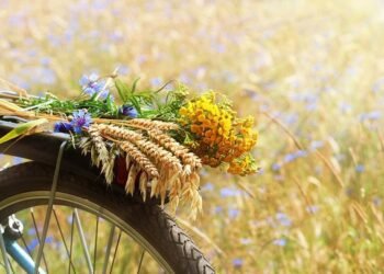 Constructive, Stunning and Humorous Sayings to Welcome This Summer season Month