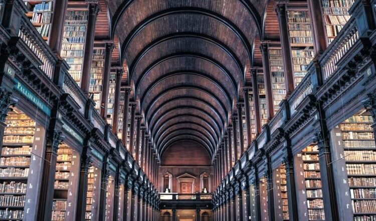 100 Stoic Quotes for Internal Energy and Resilience