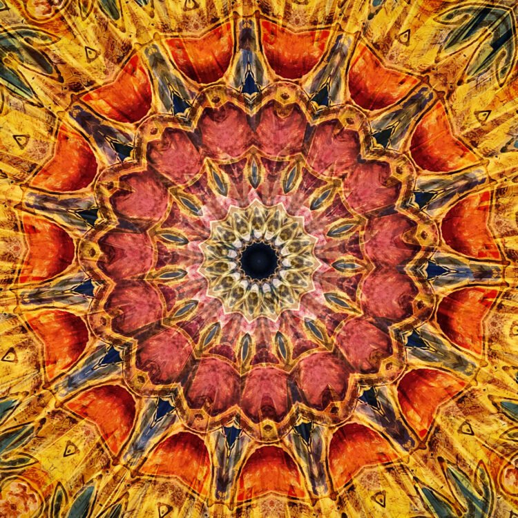 BHNN Visitor Podcast – Ep. 213