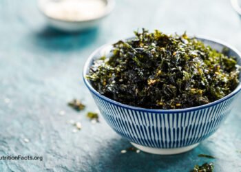 A Wholesome, Pure Supply of Iodine? 