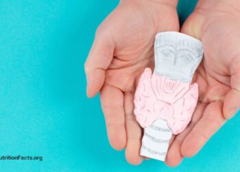 Treating Hashimoto’s Illness (Hypothyroidism) Naturally with Weight loss plan 