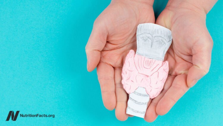 Treating Hashimoto’s Illness (Hypothyroidism) Naturally with Weight loss plan