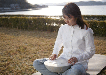 Roland simply launched a bizarre little riff on an acoustic handpan