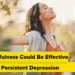 Why Mindfulness May Be Efficient for Persistent Melancholy
