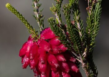 20 Relationship Crimson Flags Sadly Ignored for Months