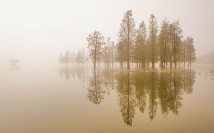 60 Silence Quotes: Inspirational Quotes on Silence