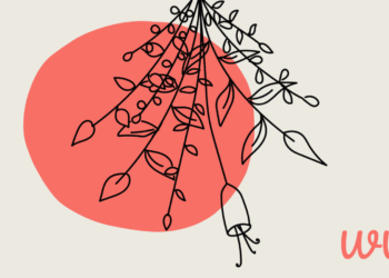 A visible strategy to discovering your function