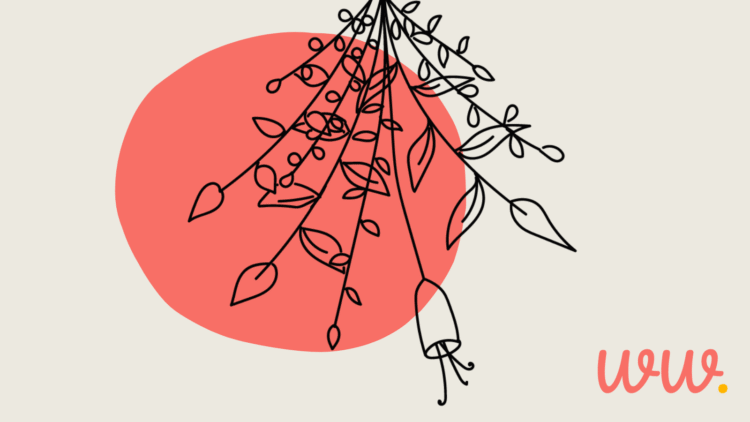 A visible strategy to discovering your function