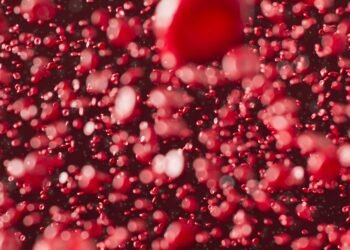 What’s within the blood? Immune cell modifications in schizophrenia