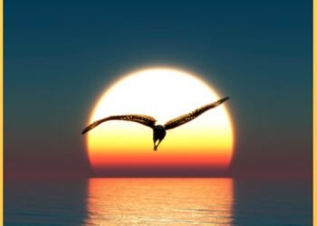 An actual meditator: Seer or Preacher?