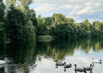 Discover Quiet in a Noisy World