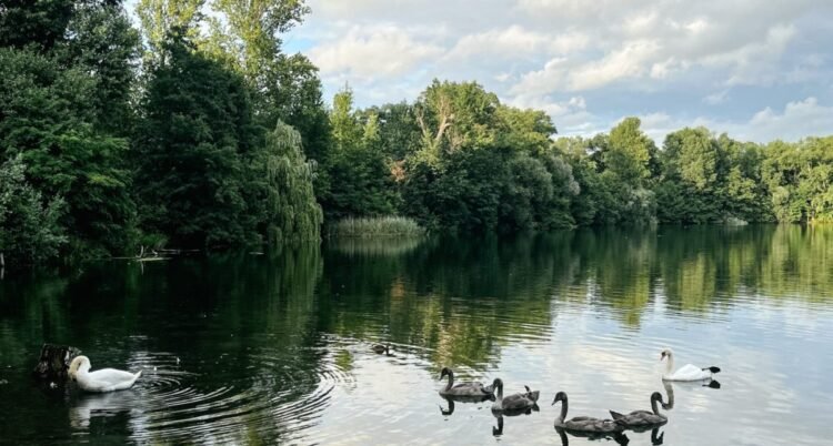 Discover Quiet in a Noisy World