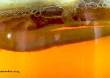 Ought to We Drink Kombucha 