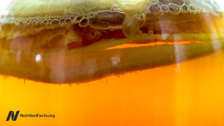 Ought to We Drink Kombucha 