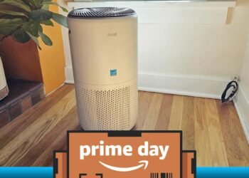 Our favourite air air purifier is $37 off proper now