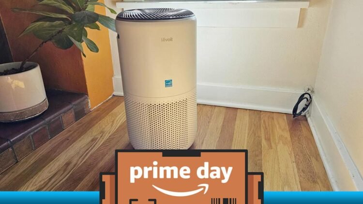 Our favourite air air purifier is $37 off proper now