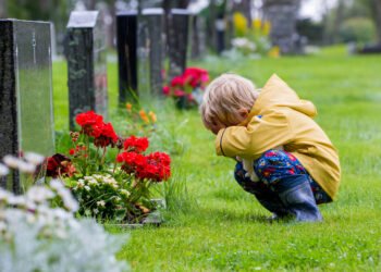How one can Clarify Loss of life to Your Kids