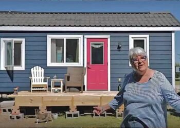 Why This 71-Yr-Outdated Constructed Her Personal Inexpensive Tiny Residence