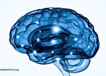 Boosting BDNF Ranges in Our Mind to Deal with Melancholy 