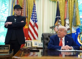 I am not shedding sleep over Elon Musk’s political ambitions