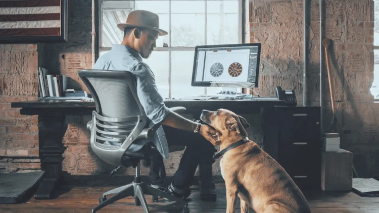 Overworking? 7 Ideas To Assist You Steadiness Work & Dwelling