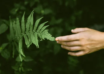 “What Doesn’t Kill You Makes You Stronger” – 4 Steps on the Path to Constructing Resilience