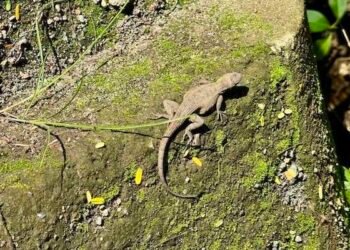 You Are Easy Boundless Awakeness