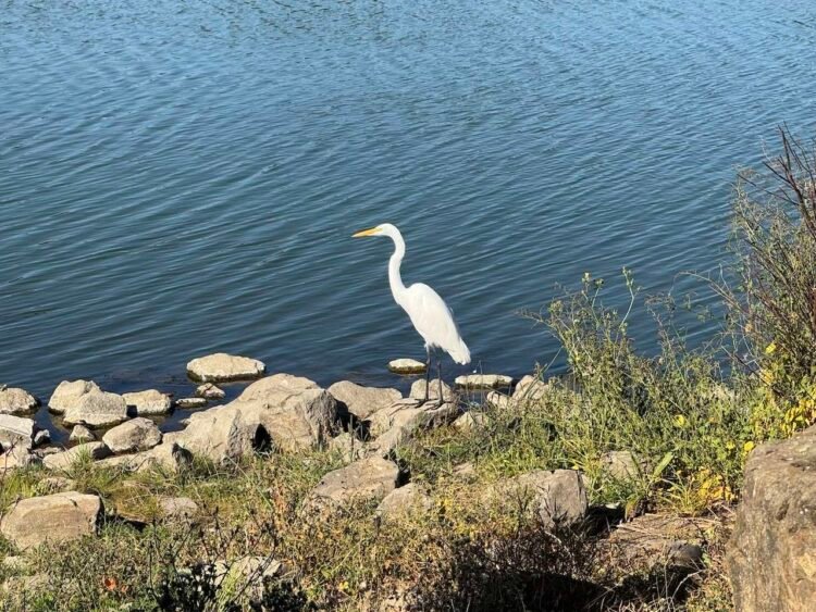 What Are You Avoiding? – Deconstructing Your self