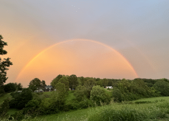 Inquiry into the Open Sky