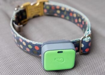 Whistle pet trackers are shutting down subsequent month