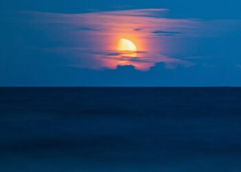 Residing with Actuality with Dr. Robert Svoboda – Ep. 51 – Rahu World – Be Right here Now Community 2025