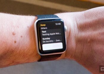Google Maintain now not helps the Apple Watch