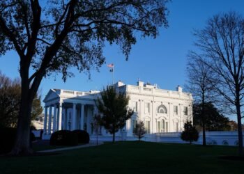 Trump will finish the de minimis exemption for low-cost world shipments