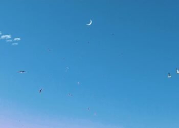 What’s Constructive Psychology? A refresher.