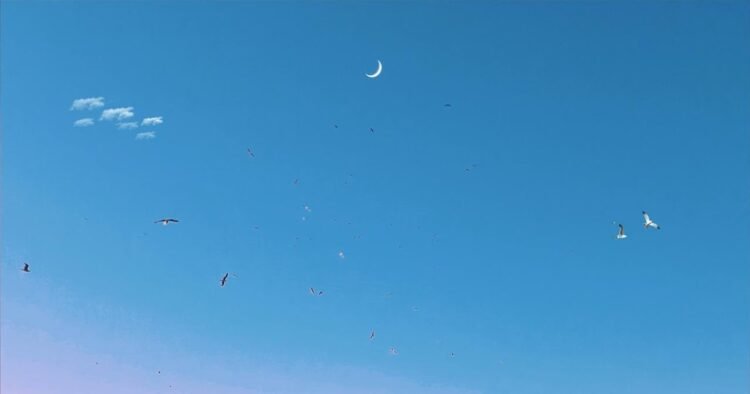 What’s Constructive Psychology? A refresher.