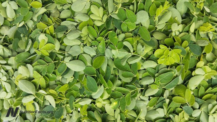 Is Moringa the Most Nutritious Meals?