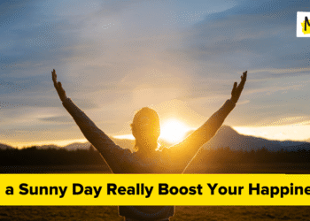 Can a Sunny Day Actually Increase Your Happiness?