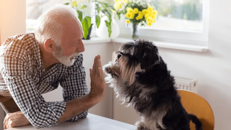 Positively Uplifting Tales | August 4 2025