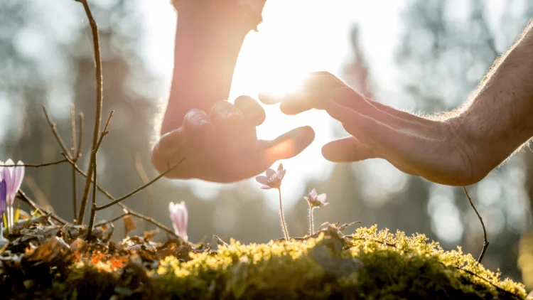 Visualize It, Consider It, Guard It: Defending Your Power Like a Professional