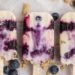 Blueberry Cheesecake Protein Popsicles – Match Foodie Finds