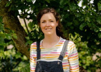 Tat’s sufficient: the No Crap Events motion