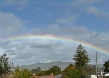 Discovering House and Freedom – Deconstructing Your self